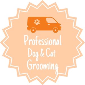 Professional Dog & Cat Grooming