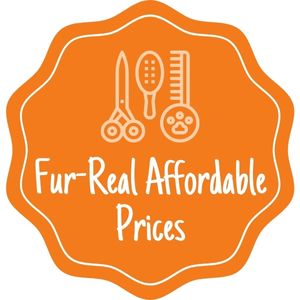 Fur-Real Affordable Prices