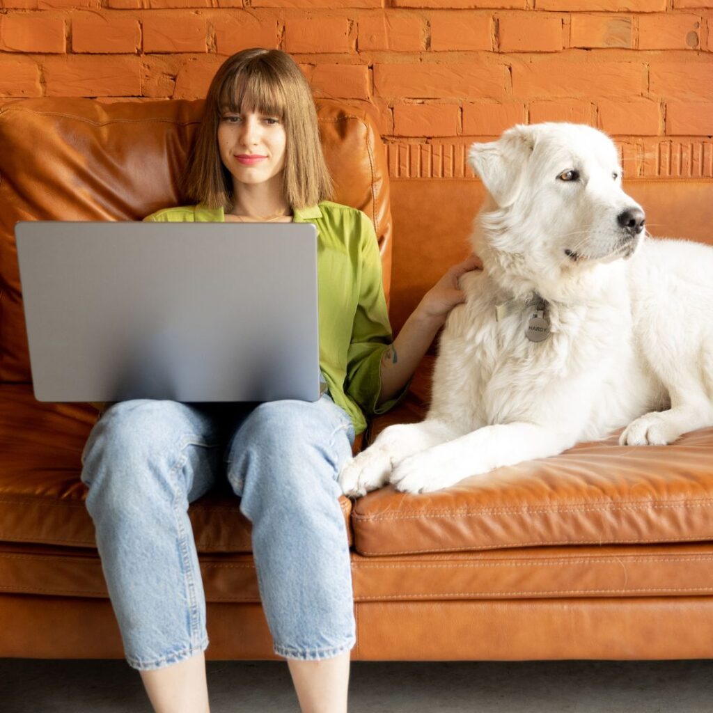 Person using a laptop while sitting on the couch with their dog