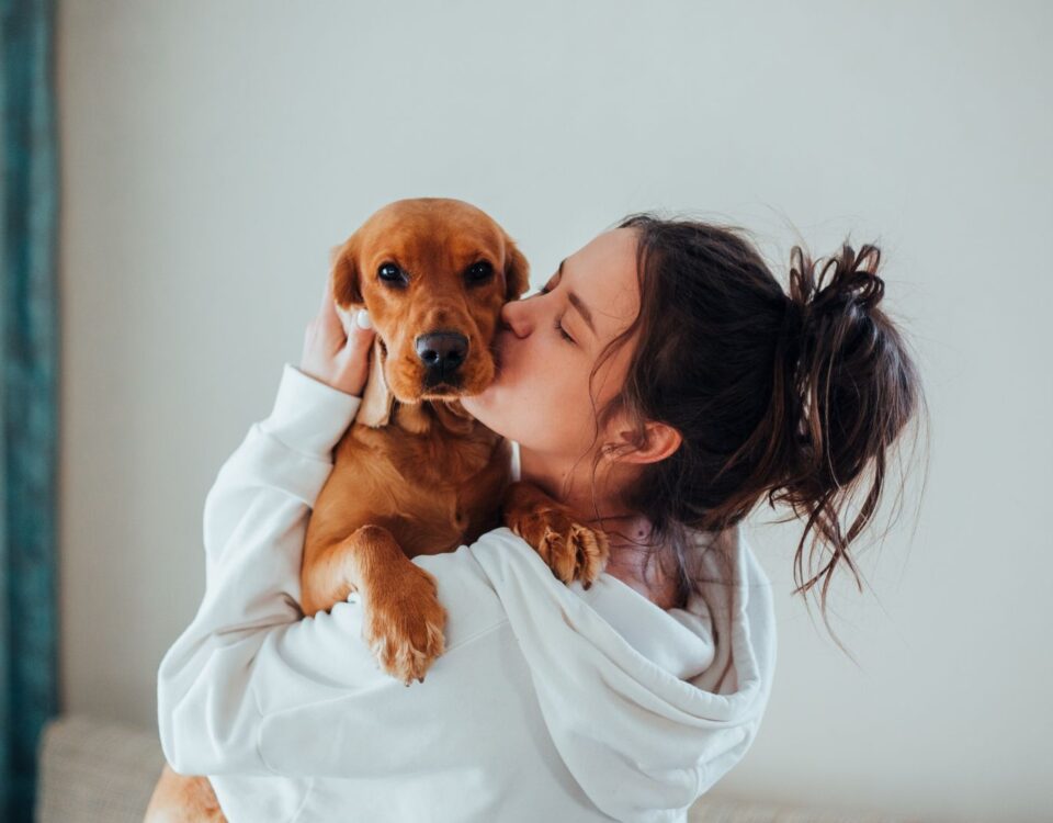 Person holding and kissing a dog