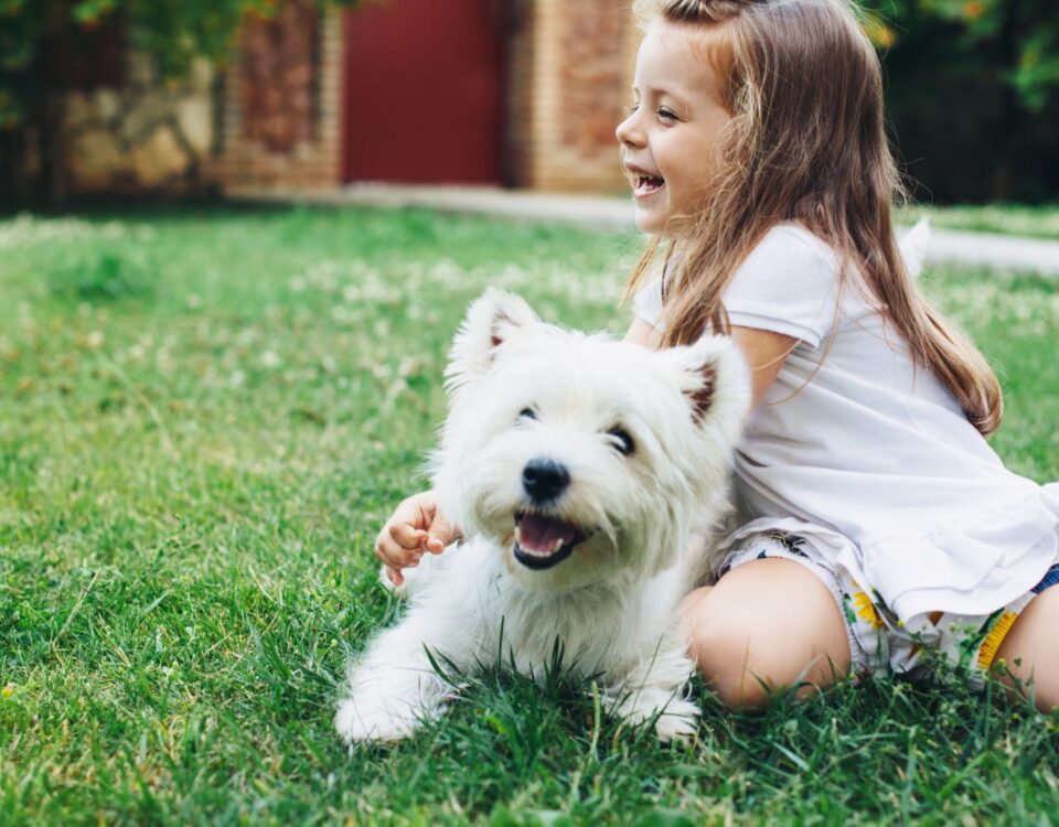 Child and dog playing outside