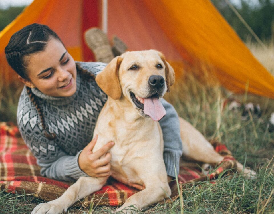 Person camping with dog