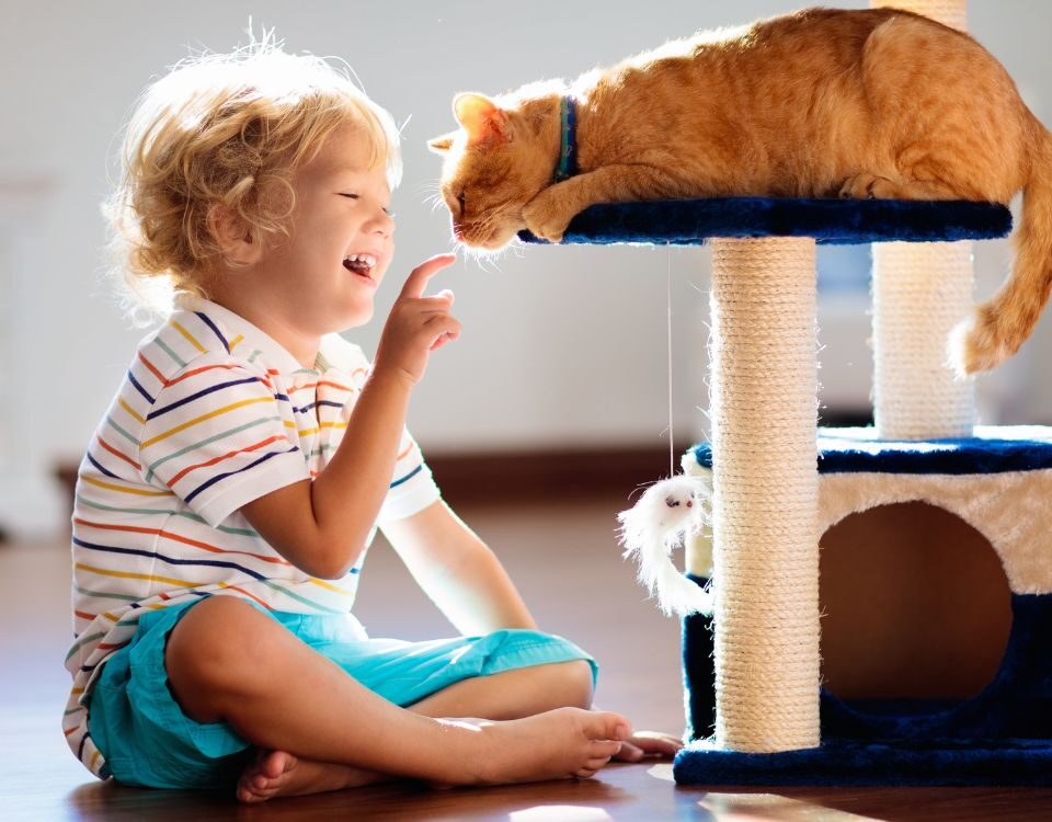 a child playing with a cat