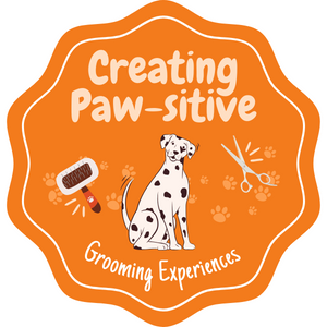 Creating Paw-sitive Grooming Experiences