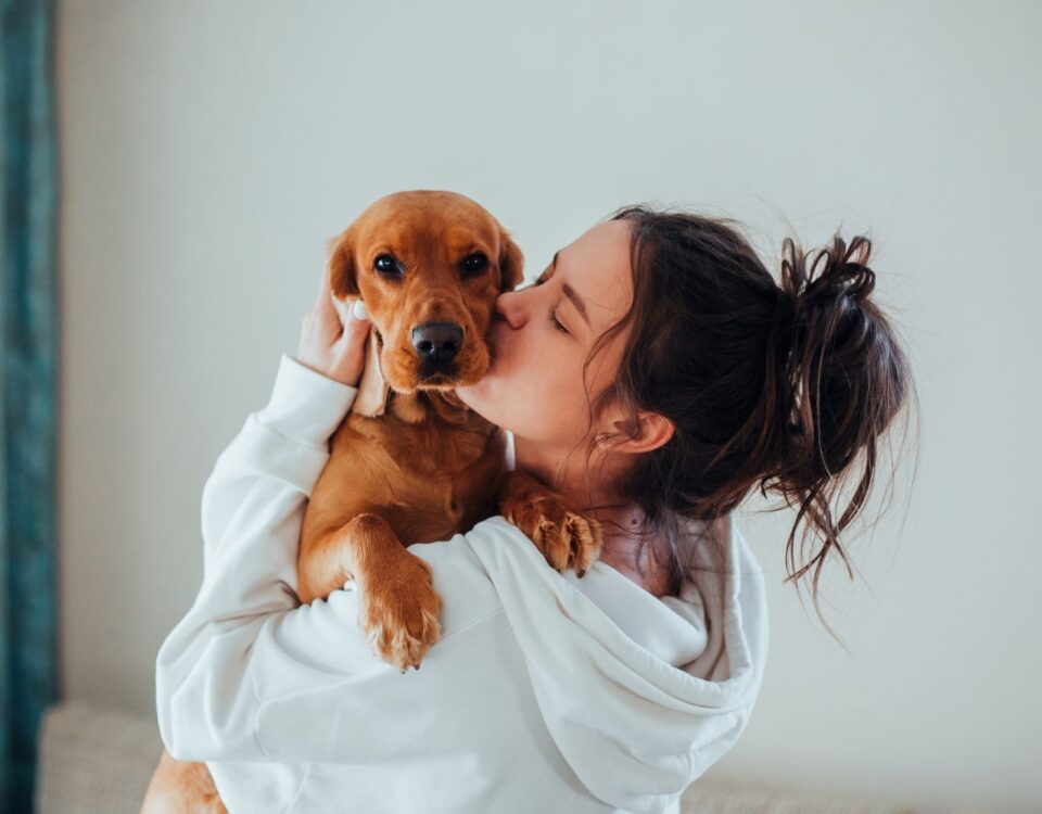 Person holding and kissing a dog