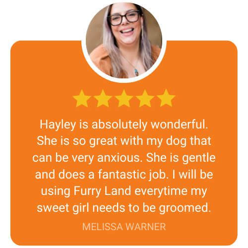 5 Star review from Melissa