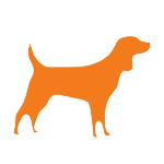 Medium Dog Icon