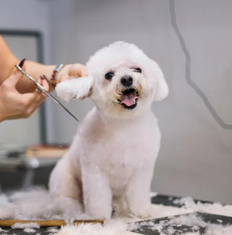 Grooming
